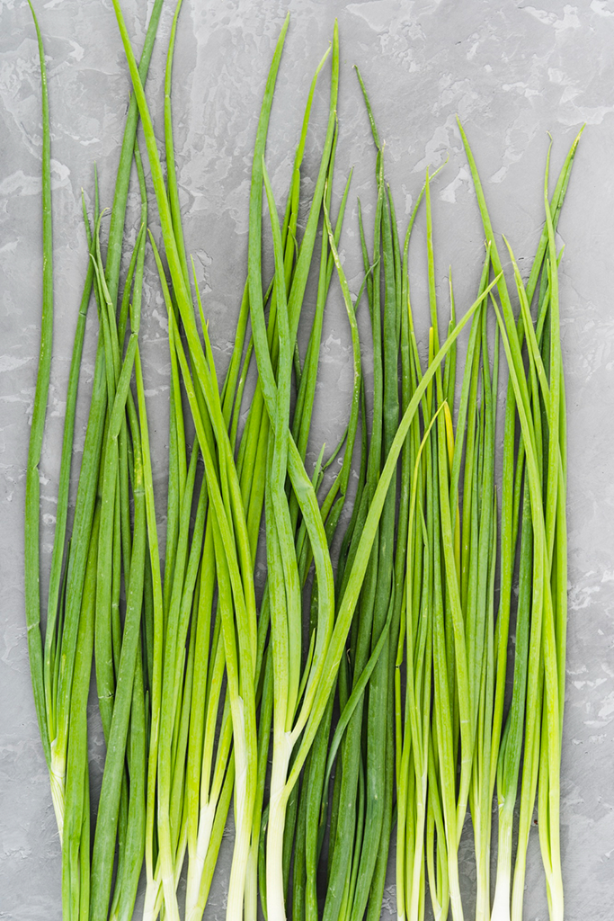 Jeunes poireaux à planter