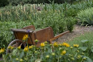Lire la suite à propos de l’article Irrigation